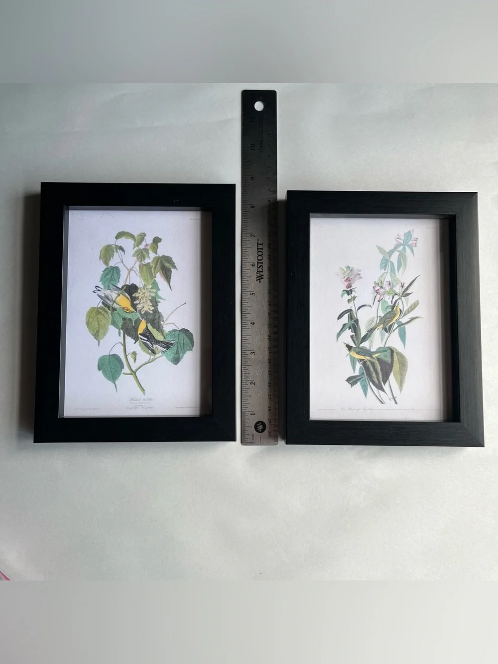 Black Wood Picture Photo Frames w/ Fine Art Prints-Set of 2